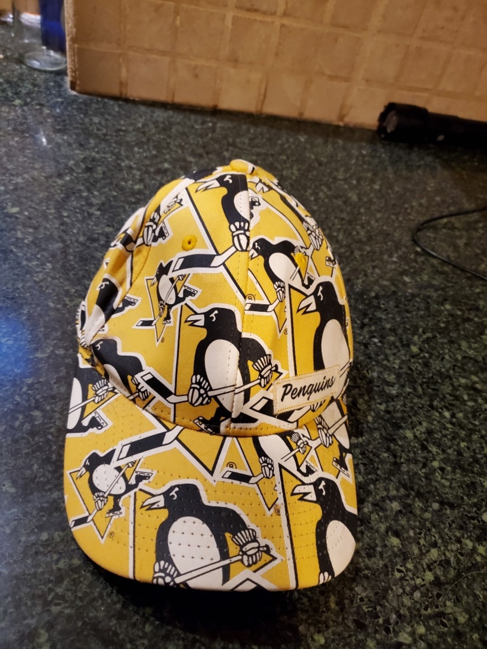 Pittsburgh penguins hat